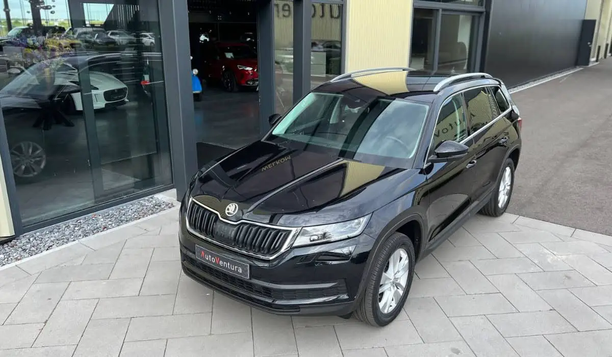 Skoda Kodiaq tweedehands: betrouwbaar, voordelig en compleet